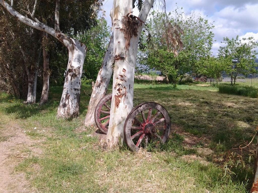 Agriturismo Spinalva Perfugas Eksteriør billede
